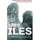 Turning Angel        {USED}